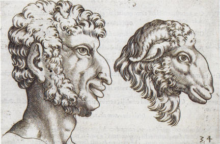 Historical Anatomies, Giambattista della Porta "De humana physiognomia", 1586 